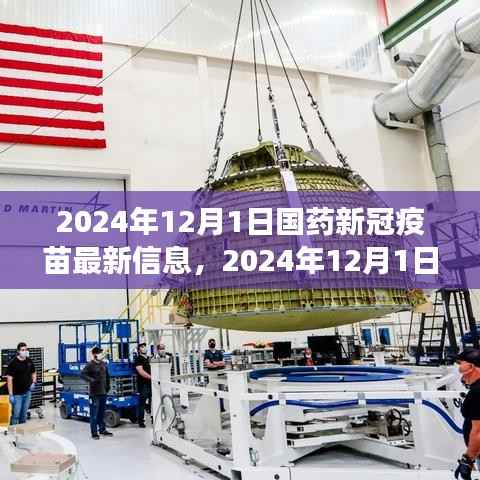 国药新冠疫苗最新进展与未来展望,全面解读疫苗进展及未来趋势(截至2024年12月1日)