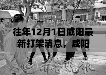 咸阳打架事件背后的故事与反思,历年12月1日的最新消息回顾