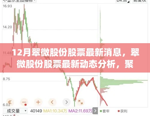 翠微股份最新动态,十二月消息聚焦,投资前景与个人立场深度解析