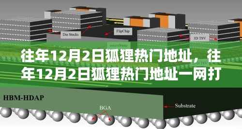 往年12月2日狐狸热门地址详解,一网打尽的步骤指南