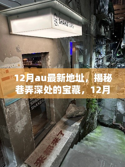 揭秘巷弄深处的宝藏,12月AU最新地址特色小店探秘