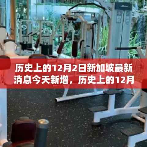 12月2日新加坡最新动态,自然之旅的心灵觉醒与新鲜发现