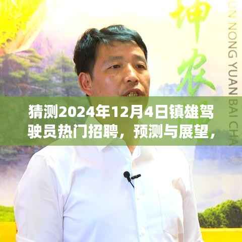 镇雄驾驶员招聘趋势预测与展望,2024年12月4日的热门岗位分析