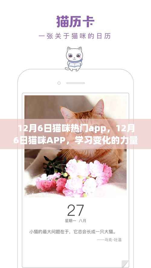 萌宠之旅,猫咪APP学习成长与自信成就感的探索