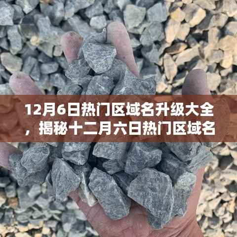 揭秘十二月六日热门区域名升级趋势,深度解析升级大全