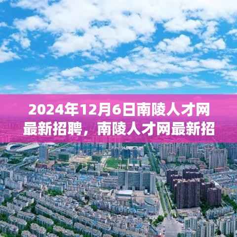 南陵人才网最新招聘动态,聚焦未来职场机遇(2024年12月)