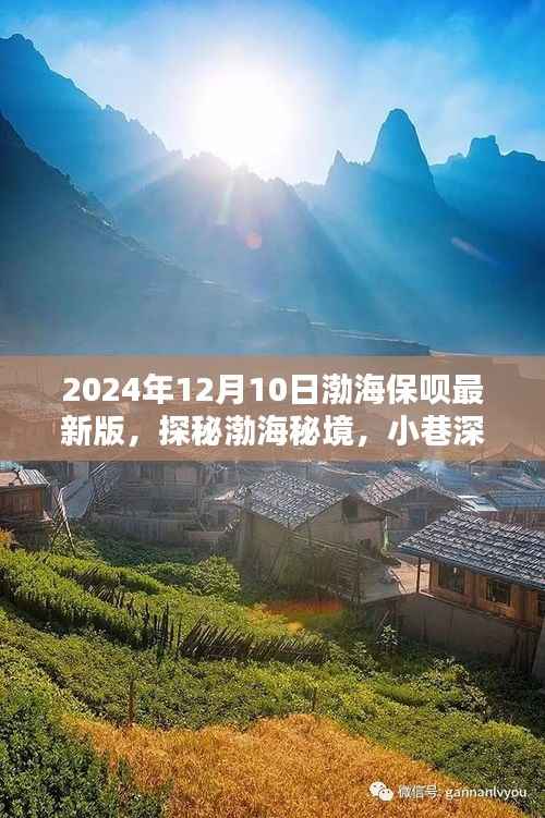 渤海秘境探秘,渤海保呗最新版的独特小店之旅(2024年12月版)