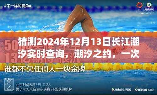 潮汐之约,温馨猜潮汐之旅,预测长江潮汐实时查询(2024年12月13日)