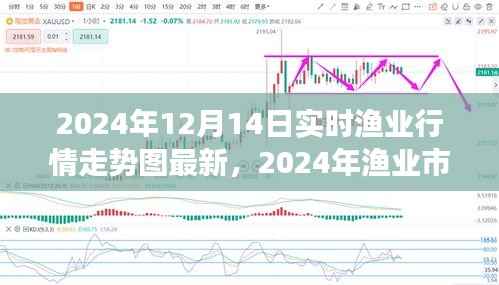 2024年渔业市场风向解析，实时行情走势图深度评测与最新动态