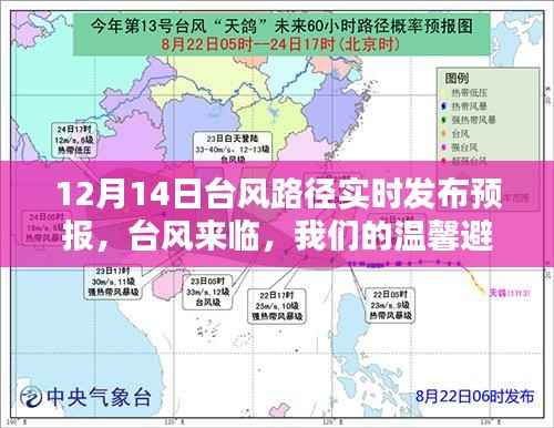台风来临，温馨避风港——12月14日台风路径实时发布预报