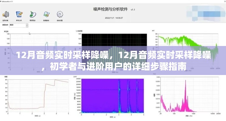 12月音频实时采样降噪,从初学者到进阶用户的详细步骤指南