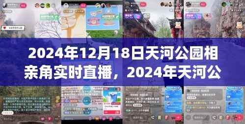 2024年天河公园相亲角深度评测与实时直播介绍