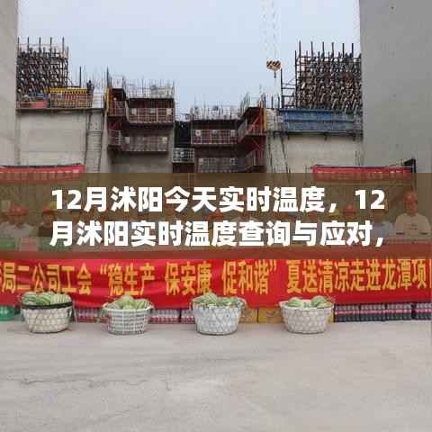 12月沭阳实时温度查询与应对指南,今日温度及详细步骤