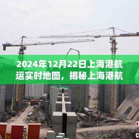 揭秘上海港航运实时地图,港口运营洞察——2024年12月22日