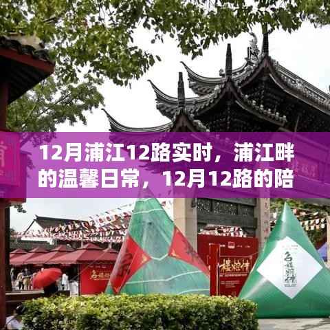 浦江畔的温馨日常,12月浦江12路的陪伴与欢笑