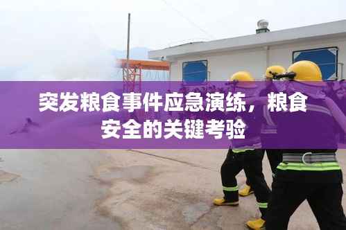 突发粮食事件应急演练,粮食安全的关键考验