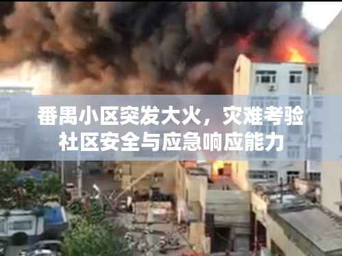 草创未就 第3页