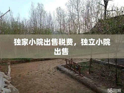 独家小院出售税费,独立小院出售