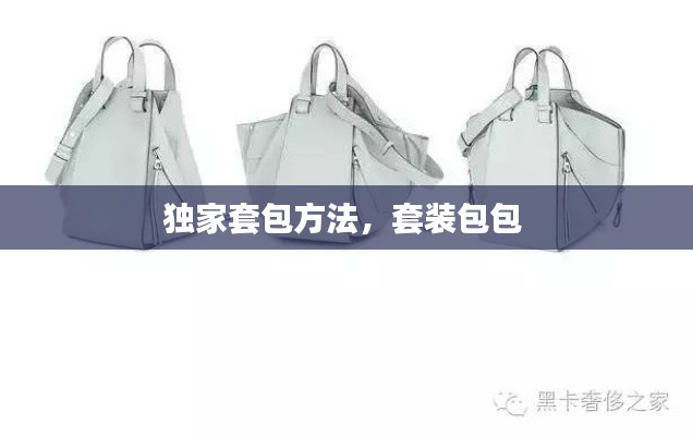 一石二鸟 第3页