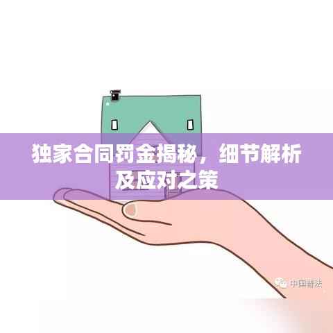 独家合同罚金揭秘,细节解析及应对之策
