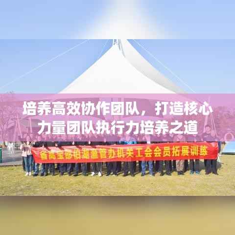 培养高效协作团队,打造核心力量团队执行力培养之道