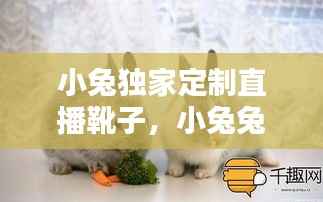 小兔独家定制直播靴子,小兔兔鞋子