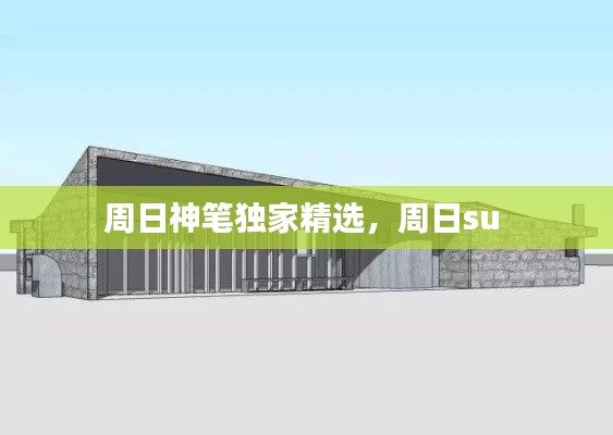 周日神笔独家精选,周日su