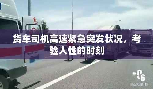 荣华富贵 第3页