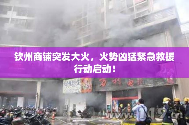 大雪纷飞 第3页