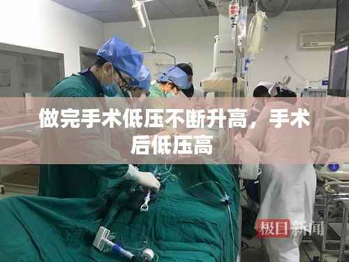 声如洪钟 第3页