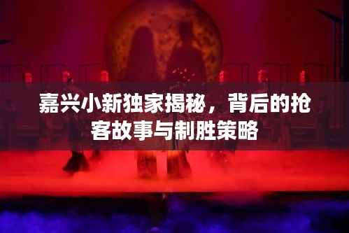 嘉兴小新独家揭秘,背后的抢客故事与制胜策略
