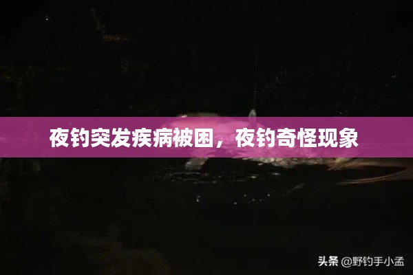夜钓突发疾病被困,夜钓奇怪现象