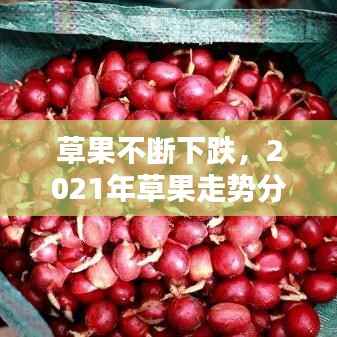 草果不断下跌,2021年草果走势分析