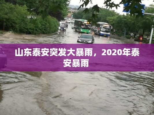 山东泰安突发大暴雨,2020年泰安暴雨