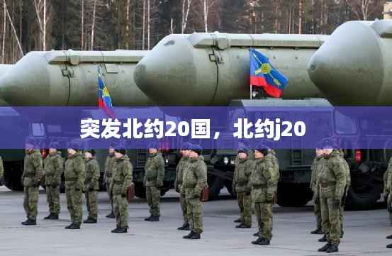 突发北约20国,北约j20