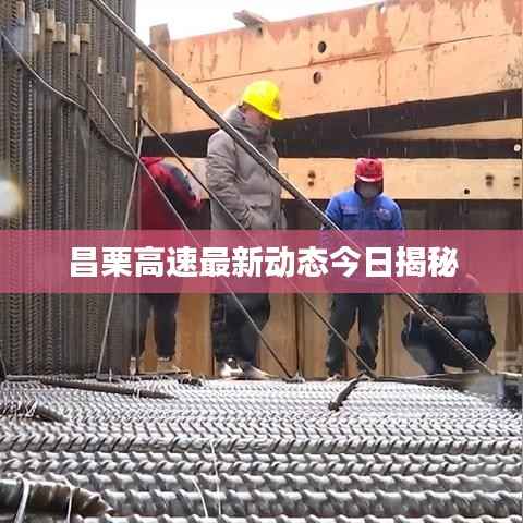 囫囵吞枣 第3页