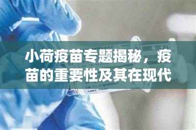 小荷疫苗专题揭秘,疫苗的重要性及其在现代医学中的不可替代角色