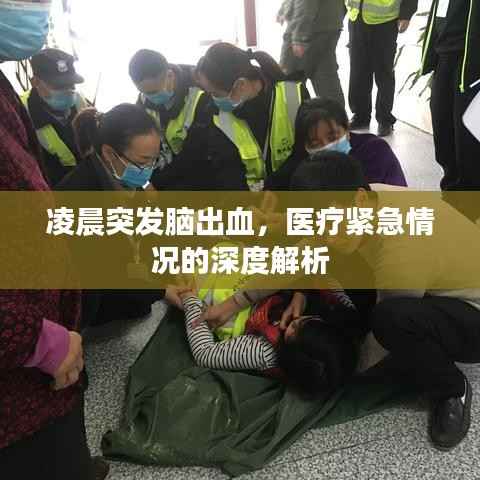 凌晨突发脑出血，医疗紧急情况的深度解析