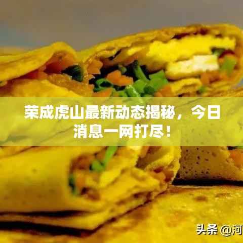 荣成虎山最新动态揭秘,今日消息一网打尽!