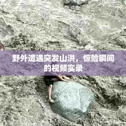 野外遭遇突发山洪，惊险瞬间的视频实录