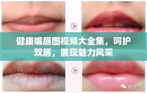健康嘴唇图视频大全集,呵护双唇,展现魅力风采