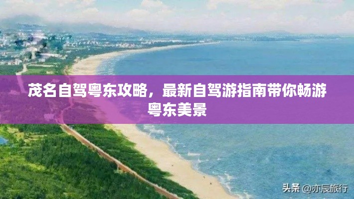 考级报名 第169页