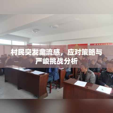 村民突发禽流感，应对策略与严峻挑战分析