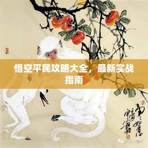 悟空平民攻略大全,最新实战指南