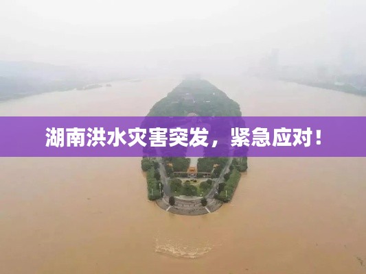 湖南洪水灾害突发,紧急应对!