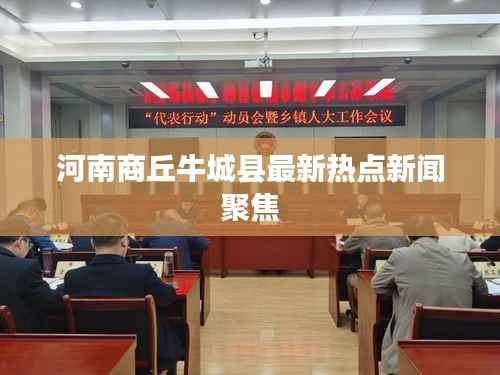 河南商丘牛城县最新热点新闻聚焦