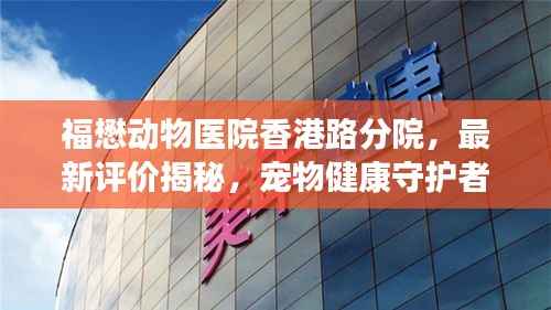 福懋动物医院香港路分院,最新评价揭秘,宠物健康守护者的专业水准!