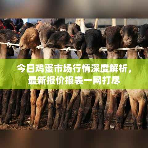 凤凰于飞 第3页