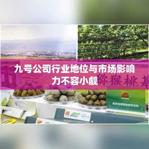 考级报名 第165页