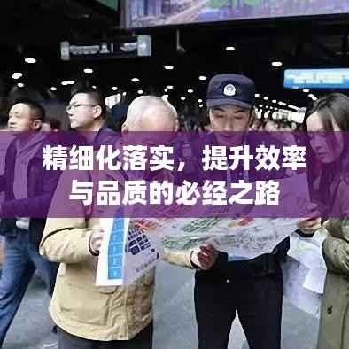 精细化落实,提升效率与品质的必经之路